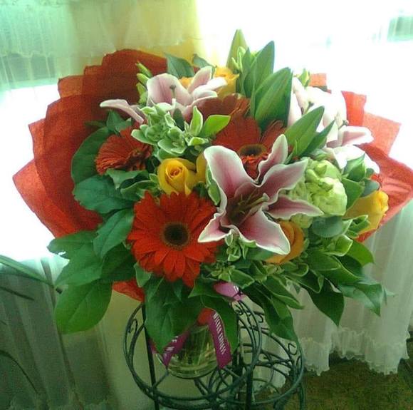 Meet your Posher, Gie - Picture 1 of 1